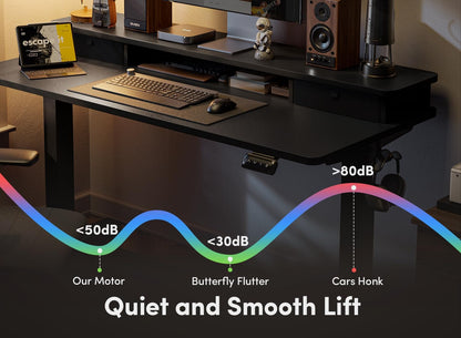 55 X 24 Inch Height Adjustable Electric Standing Desk with Double Drawer, Stand up Home Office Computer Desk with 4 Height-Adjustable Feets & 2 Hooks, Black