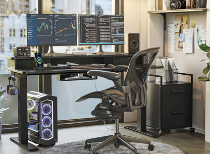 55 X 24 Inch Height Adjustable Electric Standing Desk with Double Drawer, Stand up Home Office Computer Desk with 4 Height-Adjustable Feets & 2 Hooks, Black