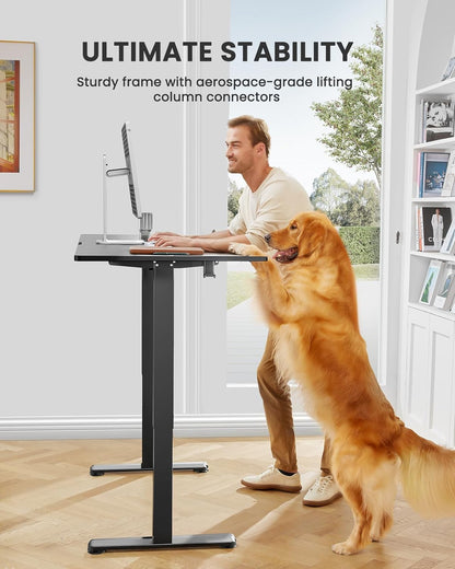Height Adjustable Electric Standing Desk, 48 X 24 Inches Sit Stand up Desk, Memory Computer Home Office Desk with Two-Piece Desktop (Black)